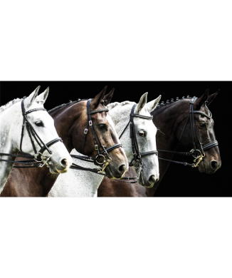 TROTTO G3310 PINTDECOR målning