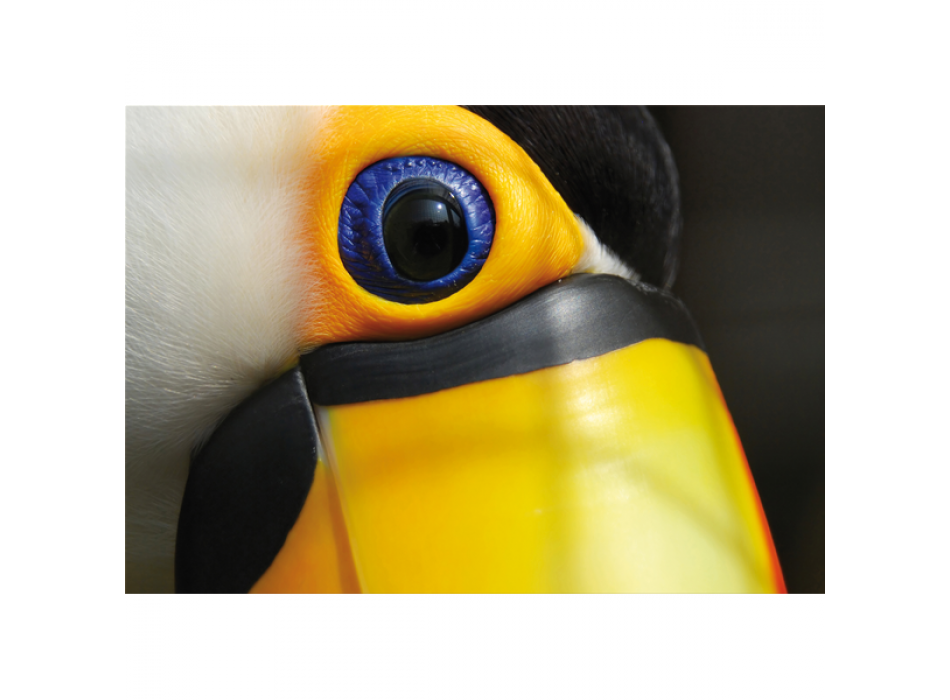 TUCANO G3268 PINTDECOR Målning