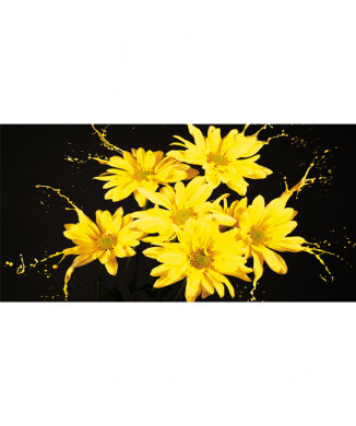 GULT FLYTANDE G2560 PINTDECOR ramverk