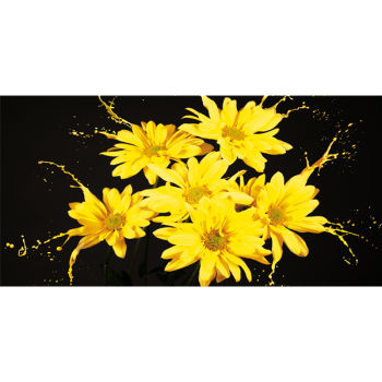 GULT FLYTANDE G2560 PINTDECOR ramverk