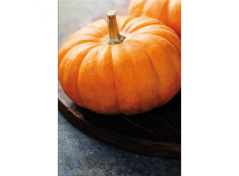 GUL PUMPA-målning G2756 PINTDECOR