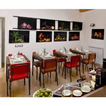 CLUB CENTRO SEDIA-stol