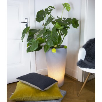 Klassisk lysande vas L 32061 8 årstidsdesign 